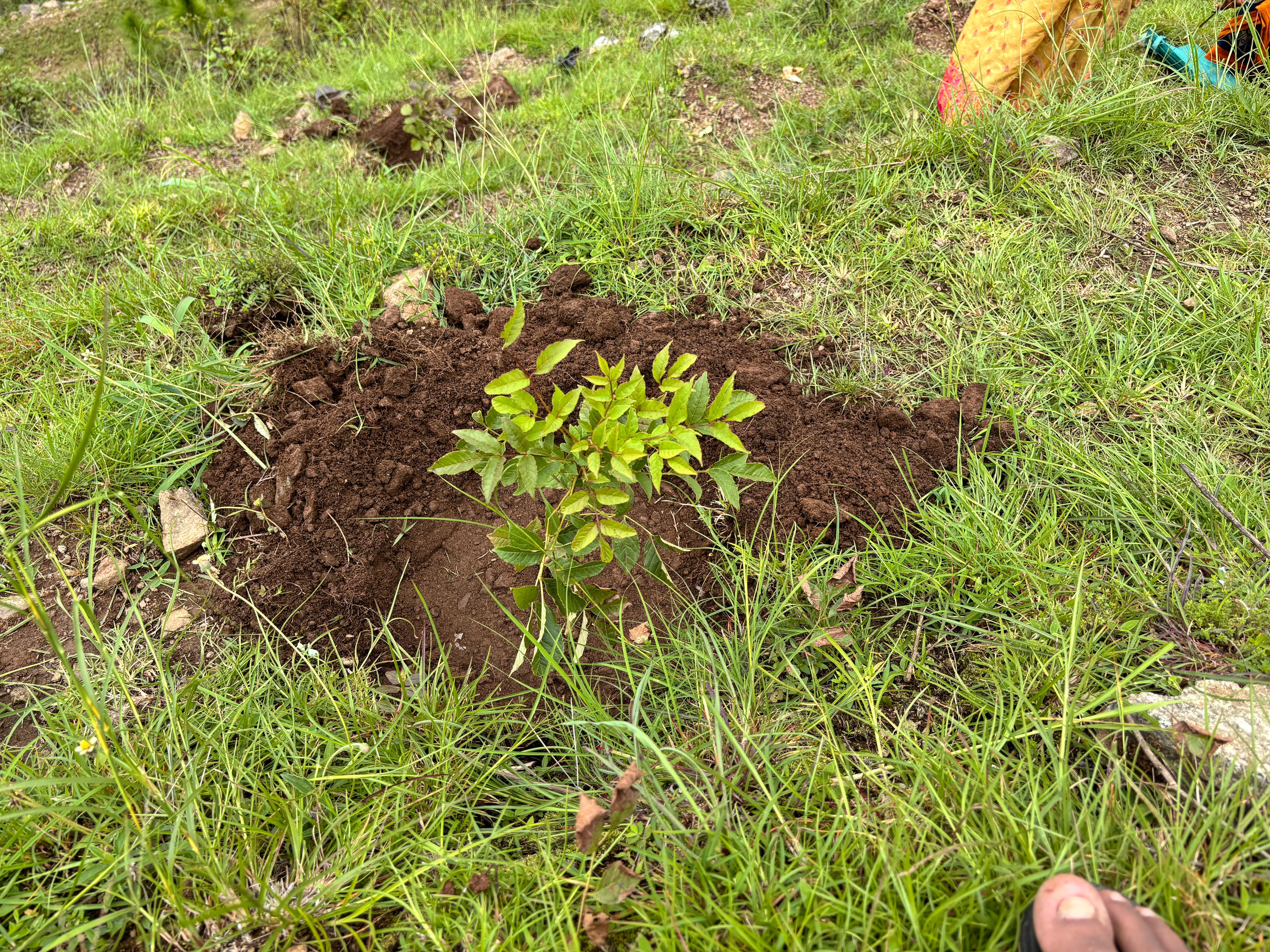 Sustainable Solutions