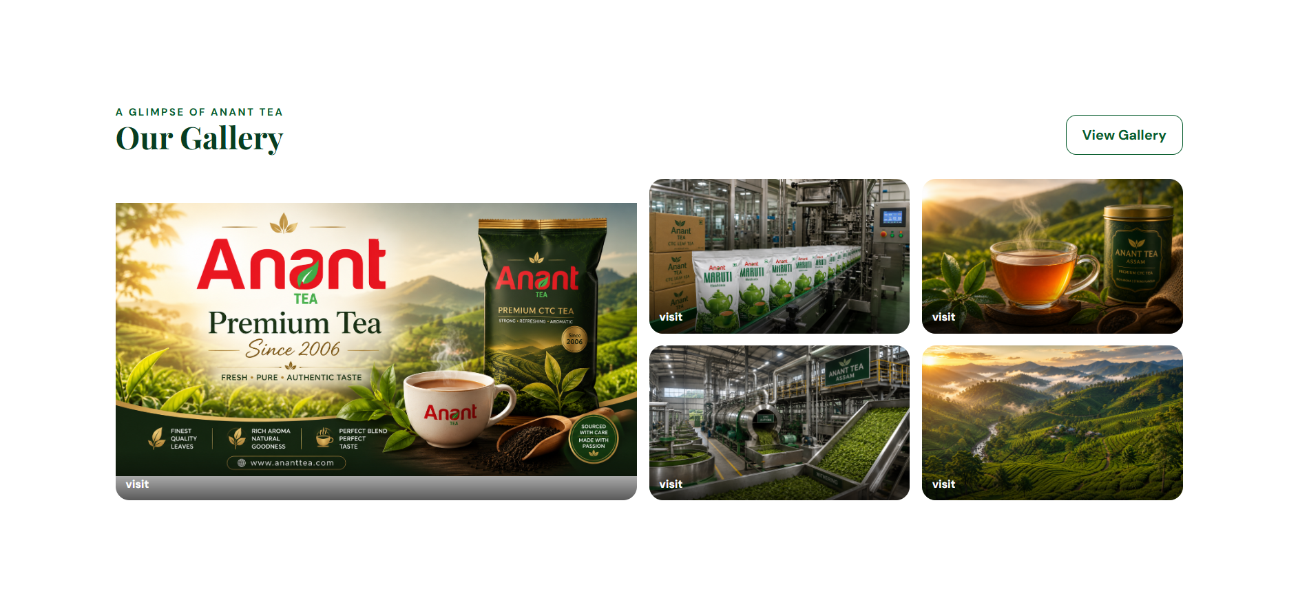 Anant Tea Company project image 3