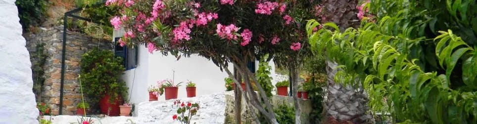 Άγιος Γεώργιος Βαλσαμίτης, φωτογραφία 2