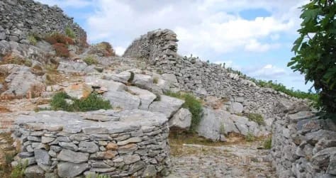 Ασφοντυλίτη, φωτογραφία 2