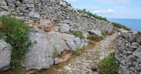 Ασφοντυλίτη, φωτογραφία 3