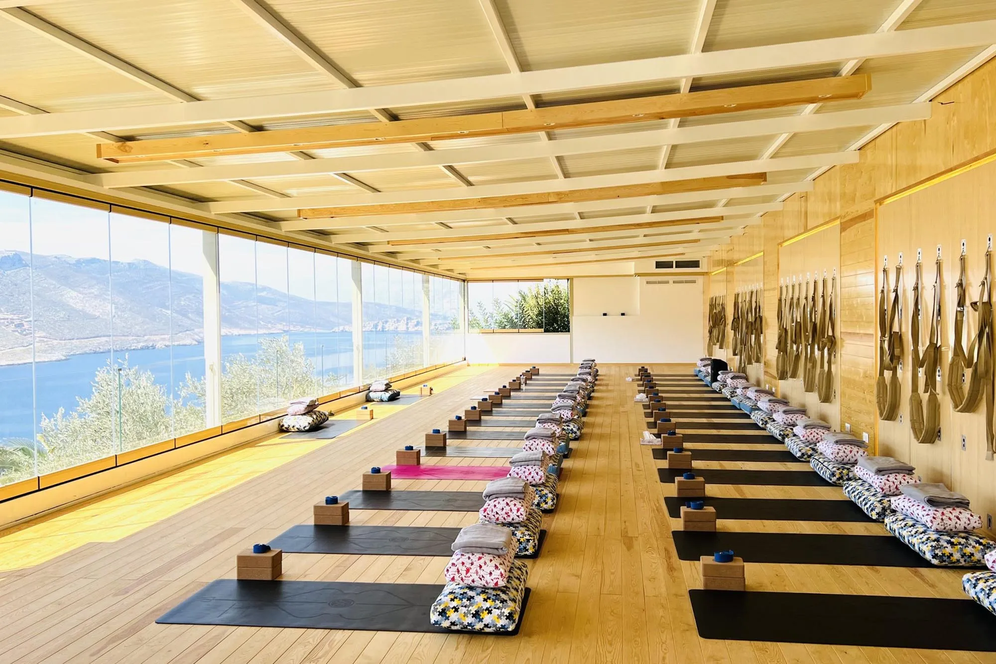 Shanti Shala at Aegialis Hotel & Spa, view 8