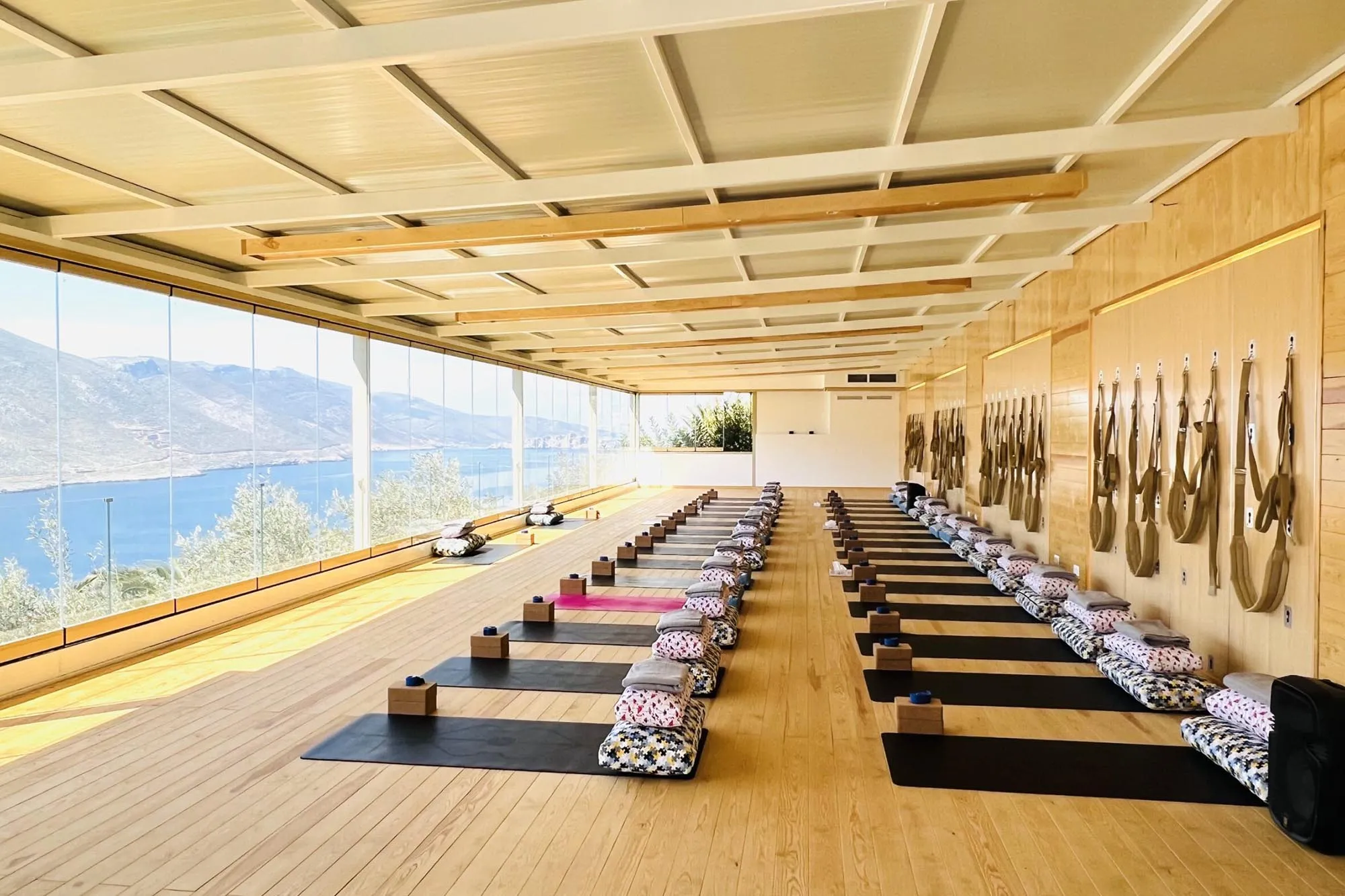 Shanti Shala at Aegialis Hotel & Spa, view 4