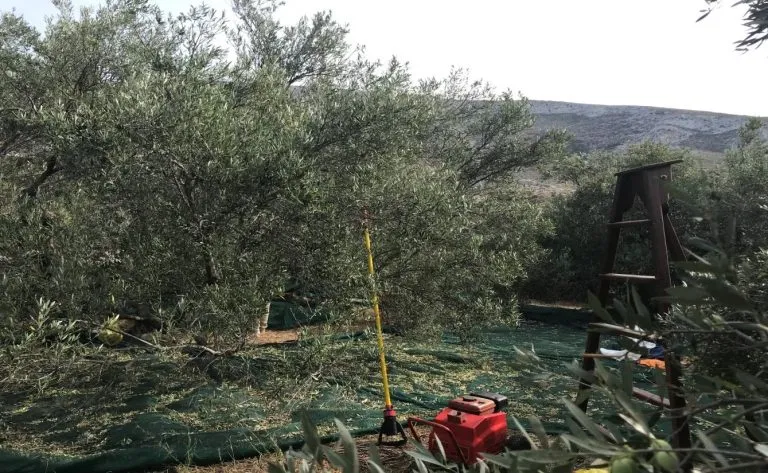 Φωτογραφία βιβλίου My Amorgos 13