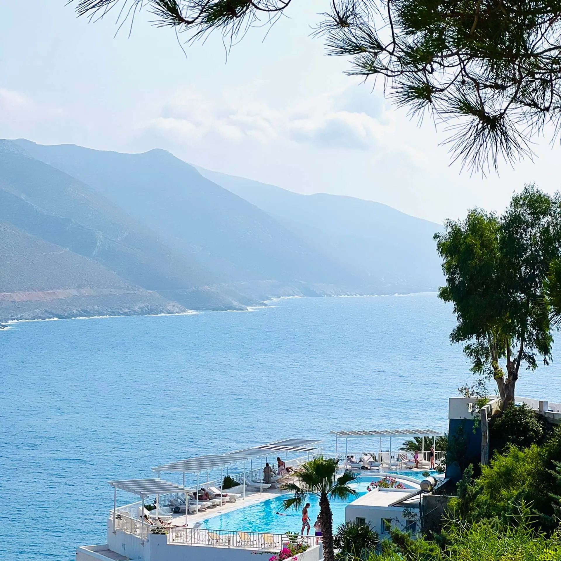 Calypso Bar, 21