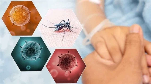করোনা ও ডেঙ্গু সংক্রমণের ভেতর চিকুনগুনিয়ার চোখরাঙানি, বাড়ছে শঙ্কা