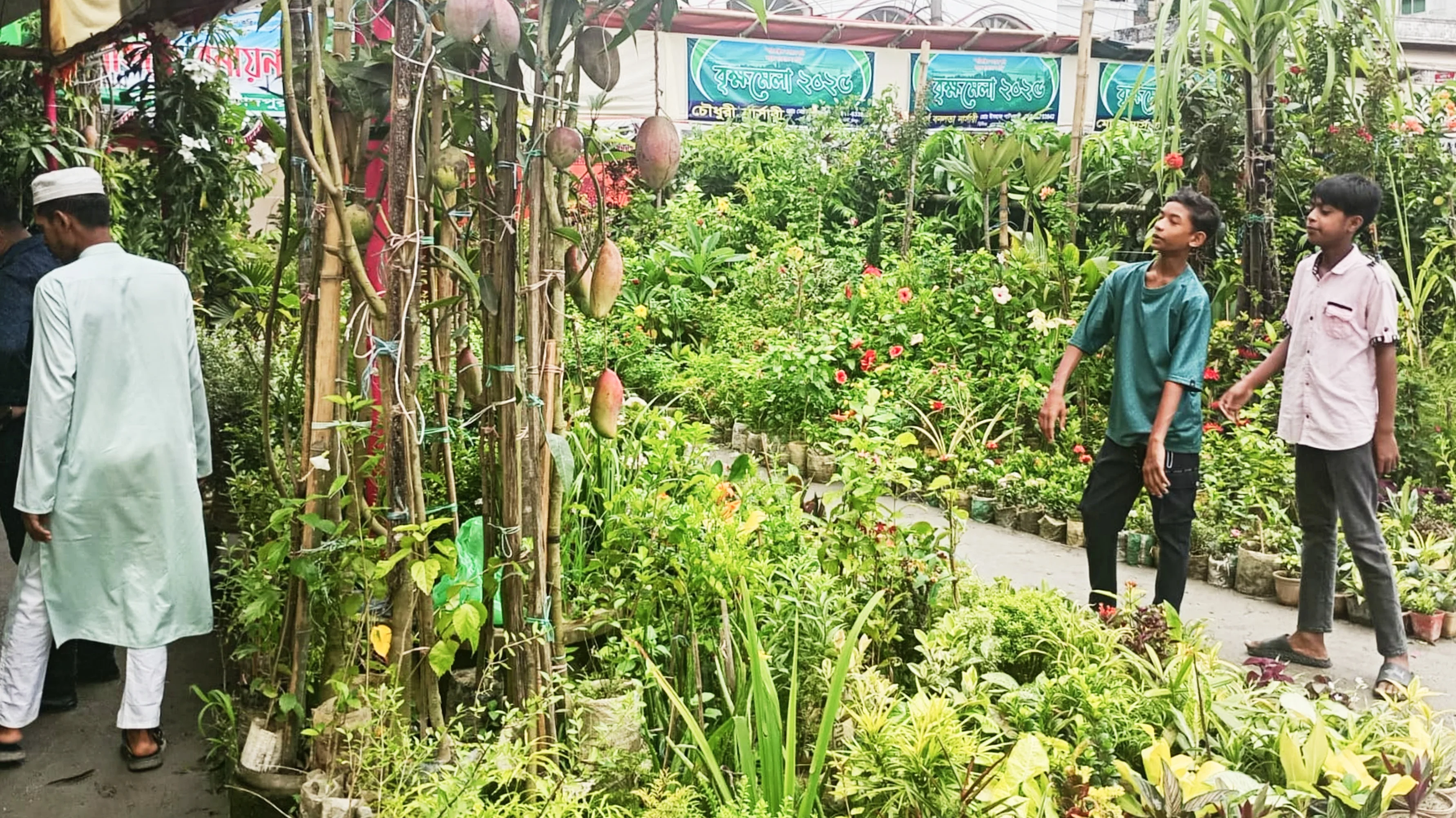 চাঁদপুরে ফল, পুষ্টি ও বৃক্ষমেলা