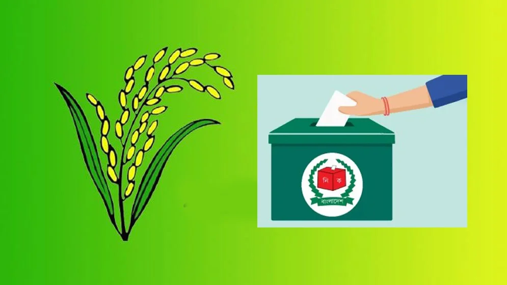 আসনপ্রতি একাধিক মনোনয়ন প্রত্যাশী, যে বার্তা দিল বিএনপি