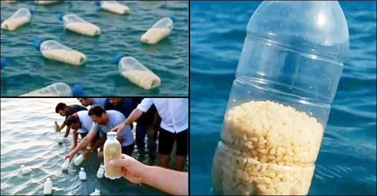 গাজার দিকে ছুটে যাচ্ছে মানবতার বোতল