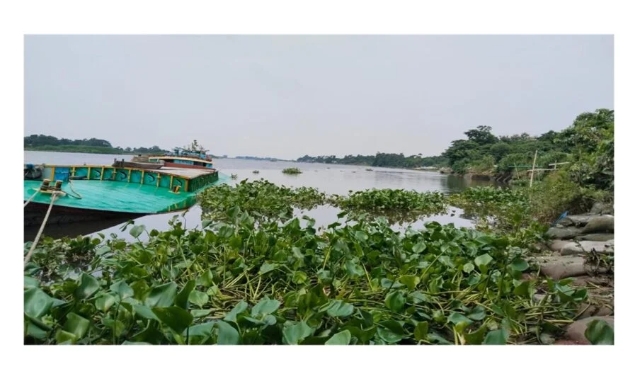 ধনাগোদা নদীর ভয়াল রুপ, হুমকিতে বেড়িবাঁধের দুটি স্থান