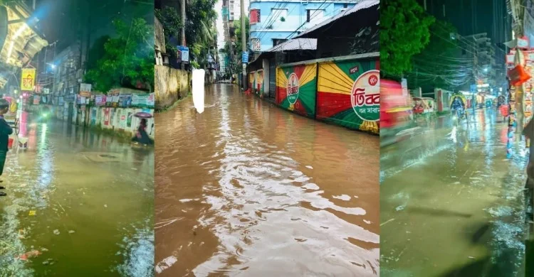 টেন্ডার না করে লঙ্ঘন করা হয়েছে সরকারি বিধি: চাঁদপুর পৌরসভার ড্রেন পরিষ্কার কাজে অনিয়ম