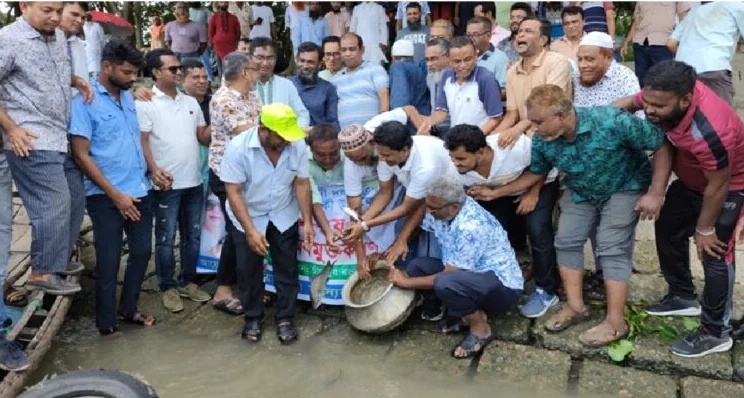 চাঁদপুরে বিএনপির ৪৭ তম প্রতিষ্ঠা বার্ষিকী উপলক্ষে মৎস্য পোনা অবমুক্তকরণ