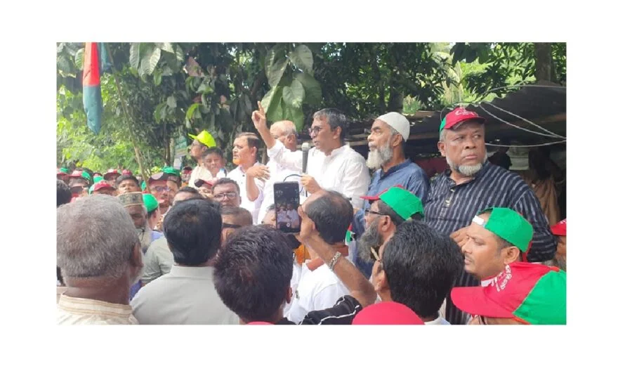 হাইমচরে জাতীয়তাবাদী দল বিএনপির ৪৭ তম প্রতিষ্ঠাবার্ষিকী পালিত