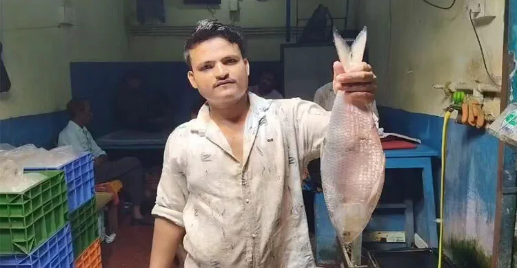 ভারতে পৌঁছালো বাংলাদেশি ইলিশের প্রথম চালান