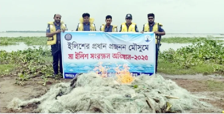মতলব উত্তরে ইলিশ সংরক্ষণ অভিযানে ২ লাখ মিটার কারেন্ট জাল আটক