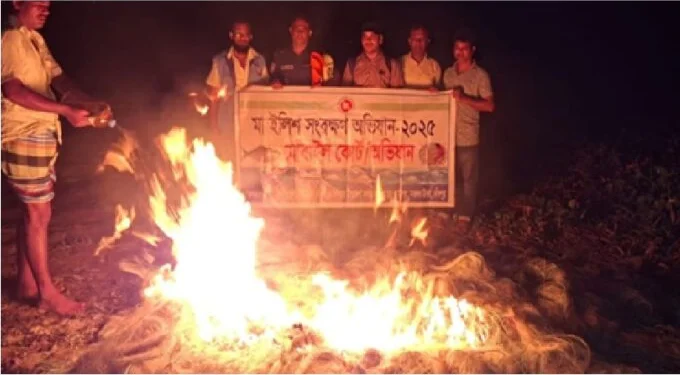 মতলব উত্তরে মেঘনা নদীতে ইলিশ রক্ষা অভিযানে ৩০ হাজার মিটার কারেন্ট জাল আটক