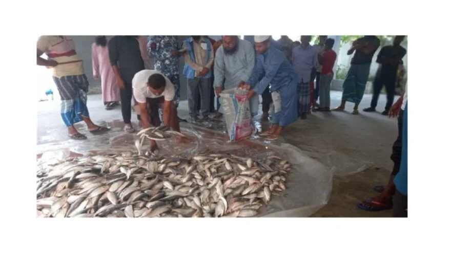 মতলব উত্তরে দুটি যাত্রীবাহী লঞ্চ থেকে ১২শ’ কেজি জাটকা উদ্ধার