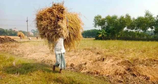 কচুয়ায় আন্তঃউপজেলা ভলিবল টুর্নামেন্টে রাড়িপাড়া একাদশ চ্যাম্পিয়ন