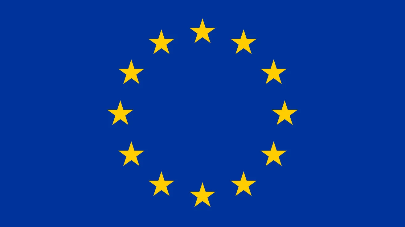 নির্বাচন পর্যবেক্ষণে মাঠে ইইউর ৫৬ পর্যবেক্ষক