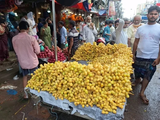 ভারতের কাঁচা খেজুর হাজীগঞ্জে এসে হয়ে যায় মিশরের!