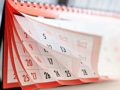 Калининградцы должны уплатить имущественные налоги до декабря 2024 года