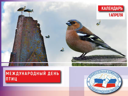 Где расположен самый близкий к первой в мире орнитологической станции избирательный участок?