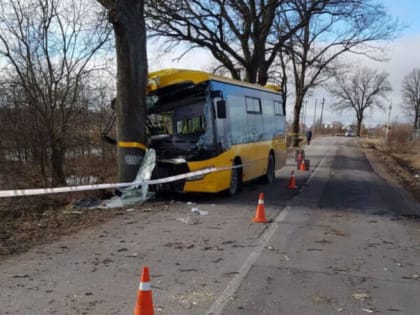 Сотрудники полиции устанавливают обстоятельства ДТП с автобусом в Гурьевском районе