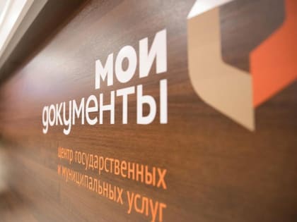 Через МФЦ можно подать налоговую декларацию 3-НДФЛ