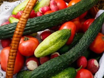 Центробанк: Из-за тёплого мая в Калининградской области подешевели овощи