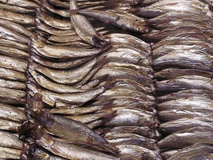 В Калининграде наладят производство шпрот с янтарной живицей