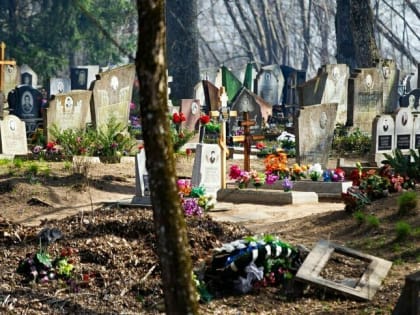 На калининградских кладбищах станет светлее