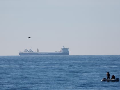 Бизнес-омбудсмен: доля логистики в цене товаров в регионе за полтора года выросла в разы