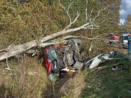 В Зеленоградском районе мусоровоз врезался в дерево и опрокинулся в канаву (фото, видео)