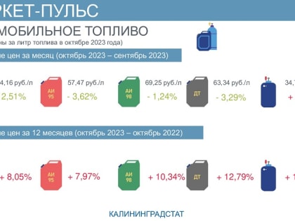 Калининградстат уточнил, на сколько за год выросли цены на бензин и дизтопливо в регионе