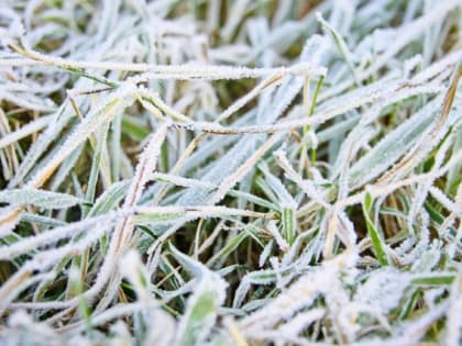 Калининград снова побил суточный температурный рекорд