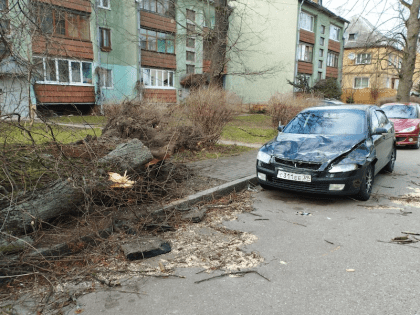 За вечер понедельника в результате шторма в Калининграде пострадали пять автомобилей