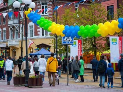 «‎Выставка кошек, фейерверк и огненное шоу»: как отметят День города в Зеленоградске