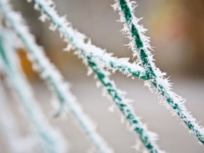 Калининград побил рекорд минимальной суточной температуры