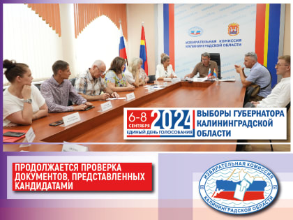 Рабочая группа Облизбиркома продолжает проверку документов, представленных кандидатами на должность Губернатора Калининградской области для регистрации