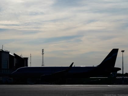 Власти хотят потратить 300 млрд рублей на выкуп самолетов у иностранных лизингодателей