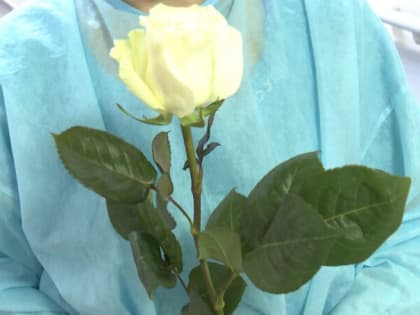 В Калининграде волонтёры поздравили с Международным женским днём врачей и пациентов БСМП