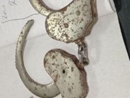 Вечерний @Калининград: весна у енотов, браслеты на память и поликлиника в перспективе