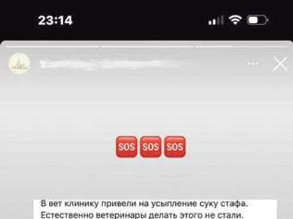 «Я врач, а не убийца!»