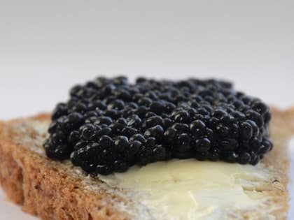 В Калининградской области запустили первое производство черной икры