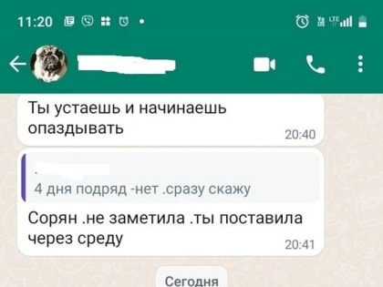 Месть непушистых: волонтёра, обратившего внимание на гибель котов в Зеленоградске, уволили с работы
