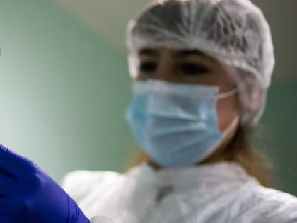 Мигрантов встречали в аэропорту: калининградский Роспотребнадзор — о том, как прививали от кори в 2023-м