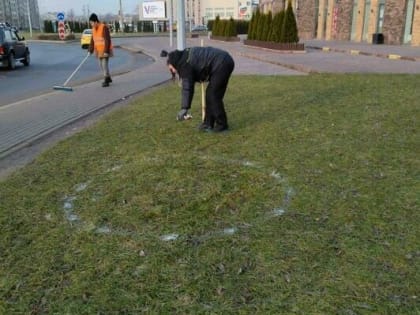 В Зеленоградске на газонах нашли «инопланетные» круги, но власти всё объяснили