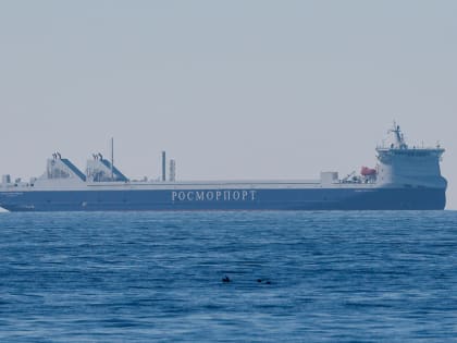 Росморречфлот открыл прием заявок на субсидирование морских перевозок в Калининград