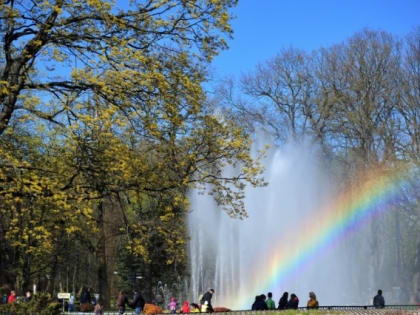 «Нас лихорадит»: как погода удивляла калининградцев в 2022 году