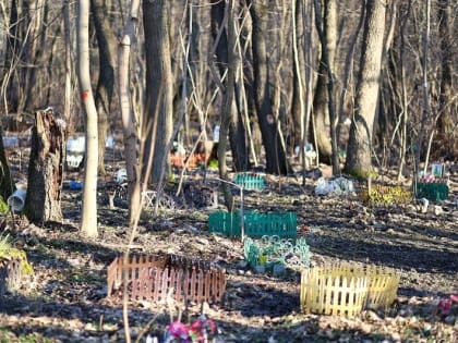 Не одна сотня могил: на Сельме образовалось стихийное кладбище домашних животных (фоторепортаж)